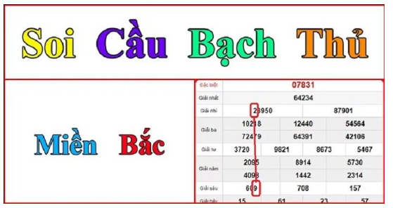 Soi Cầu Bạch Thủ Lô: Cách Thức & Kỹ Thuật Chiến Thắng