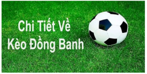 Soi Kèo Đồng Banh Hiệu Quả Tại Nhà Cái TA88: Bí Kíp Chiến Thắng